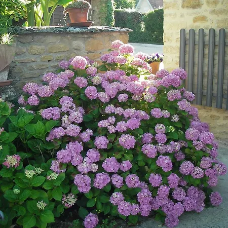 Les 4 Saisons Lantställe