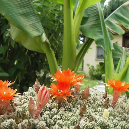 Les 4 Saisons Lantställe Sarlat-la-Canéda