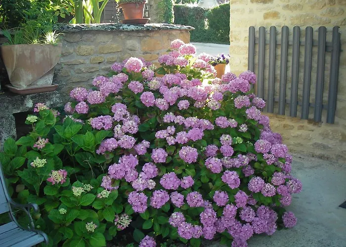 Les 4 Saisons Séjour à la campagne