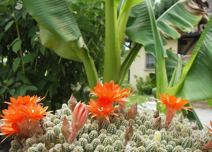 Les 4 Saisons Séjour à la campagne Sarlat